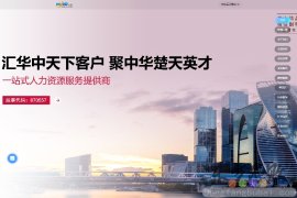 华中人才网(人才市场)