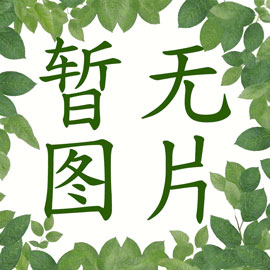 湖北教育信息网